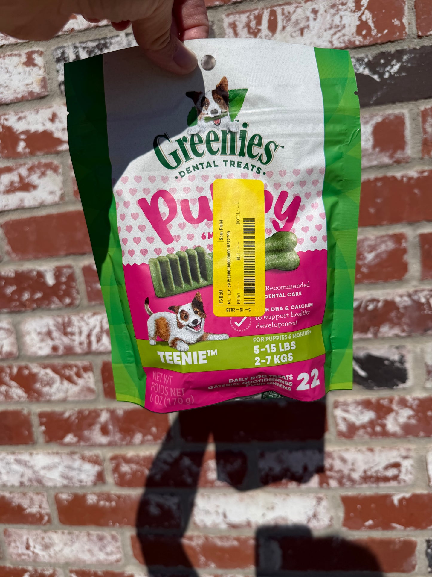 Puppy Greenies