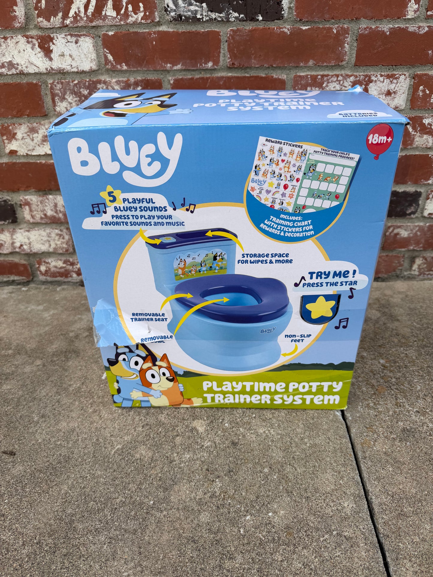 Bluey Playtime Potty Trainer System