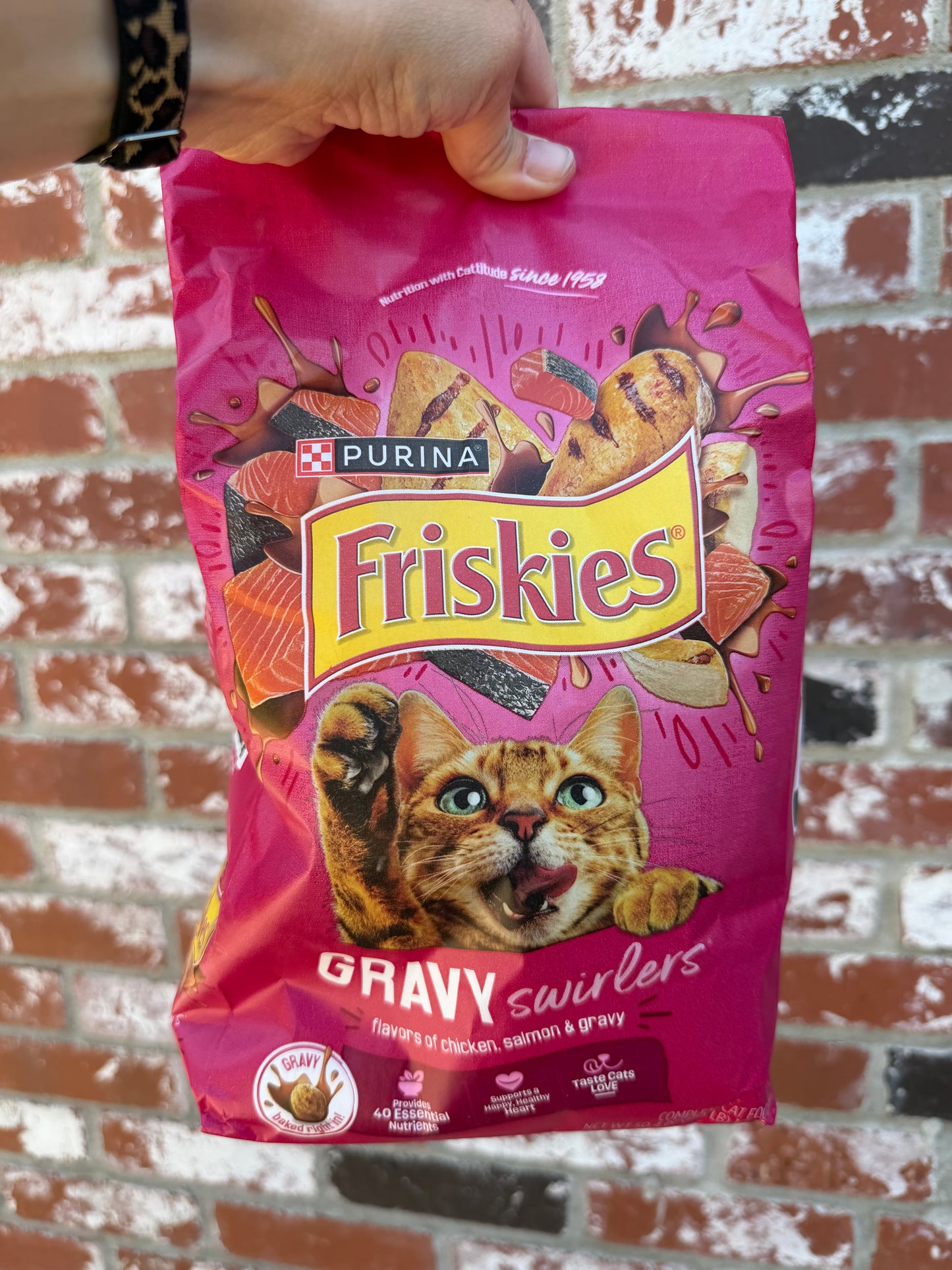 Friskies Gravy Swirlers