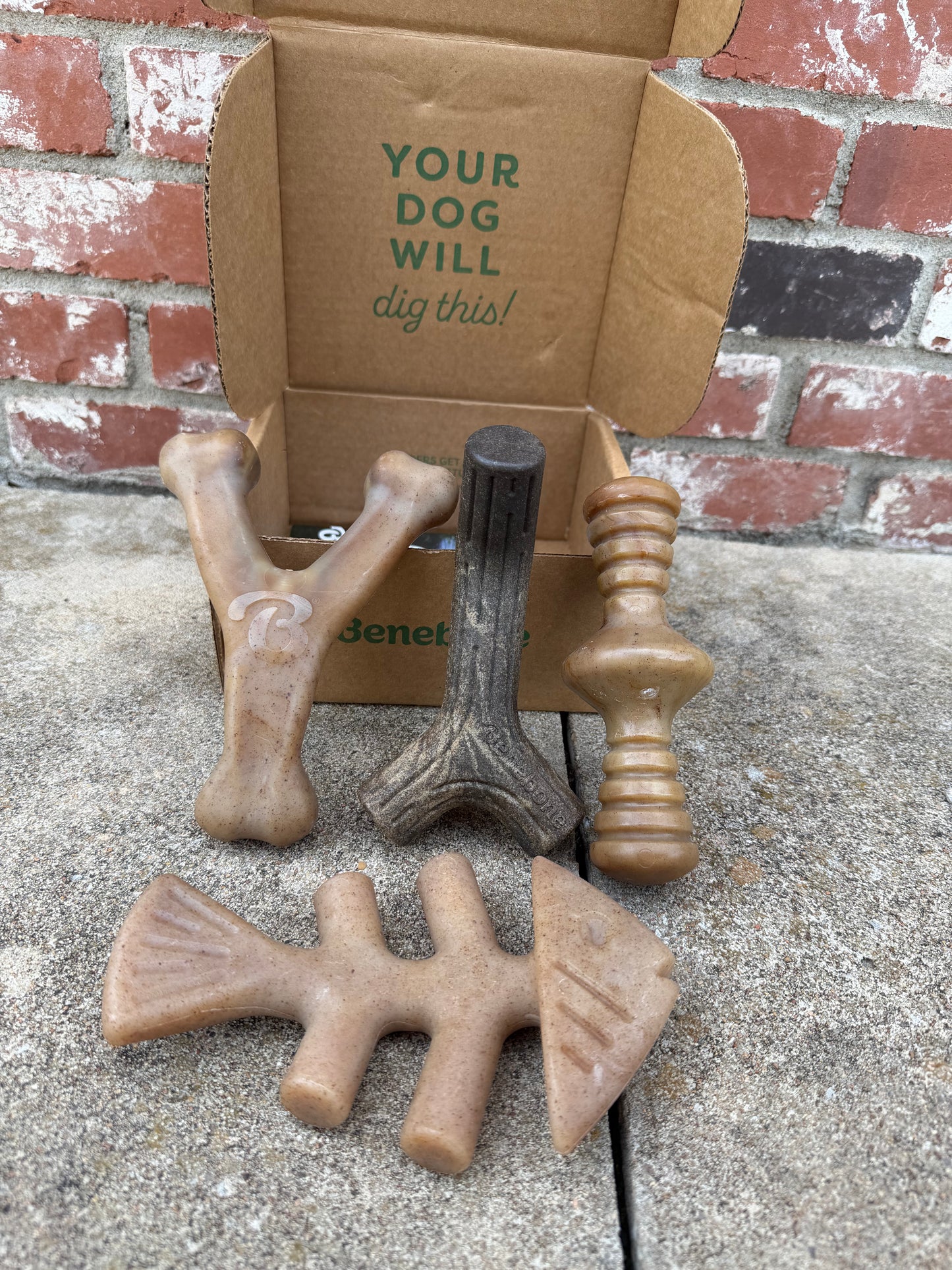 Benebone 4 Pack Box