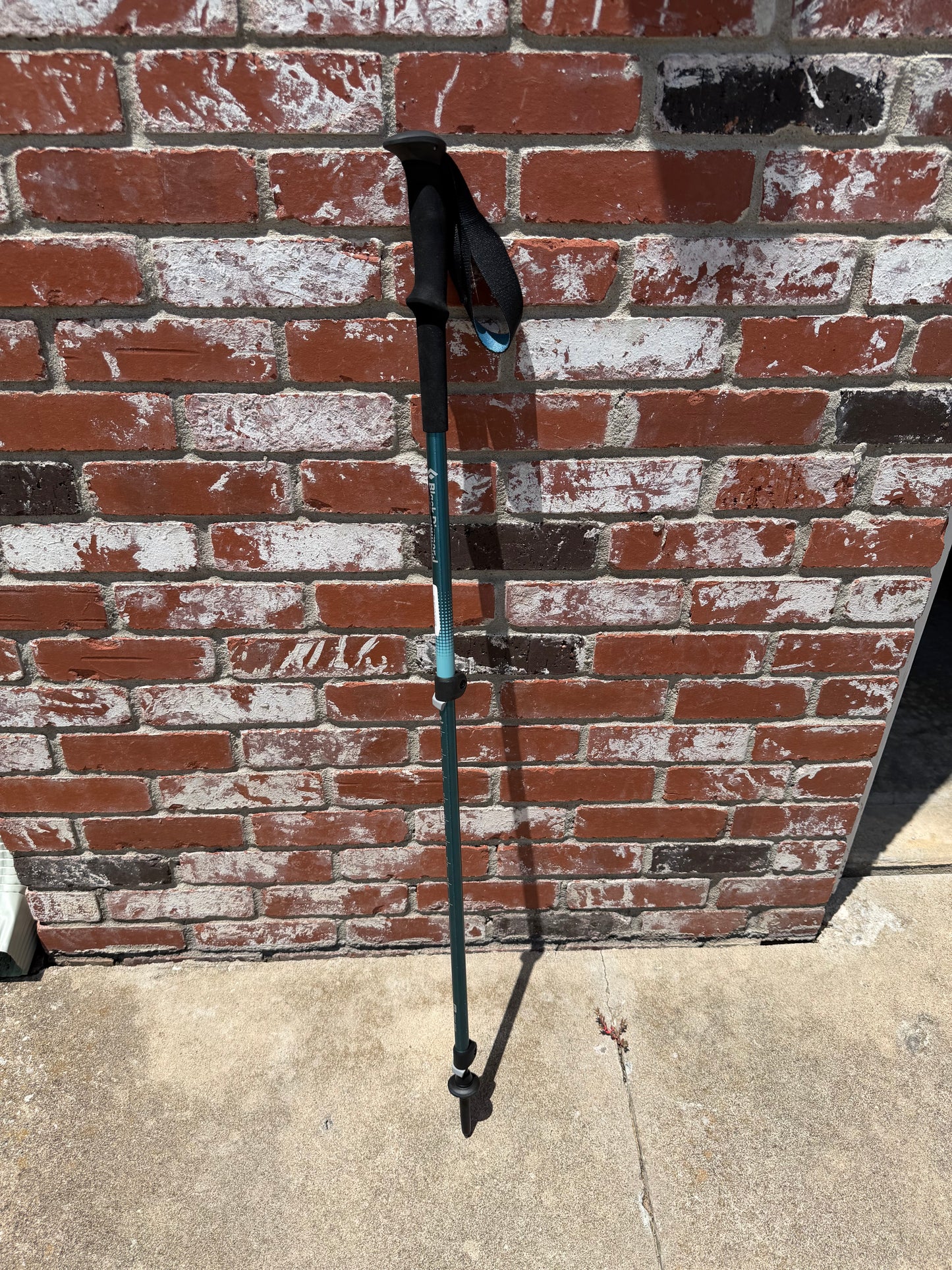 Black Diamond Trail Hiking Pole