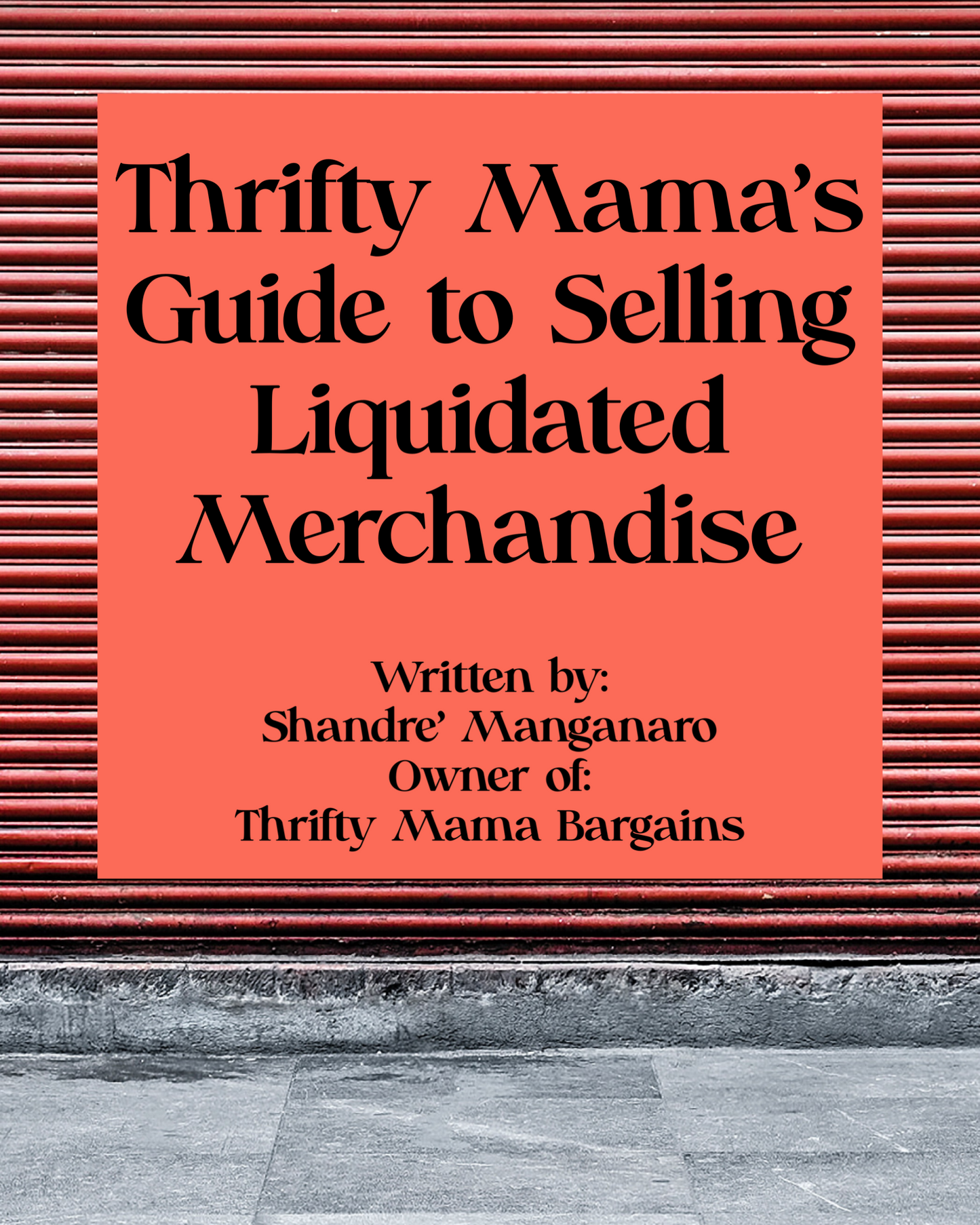 Thrifty Mama’s Guide to Reselling Liquidated Merchandise DIGITAL DOWNLOAD
