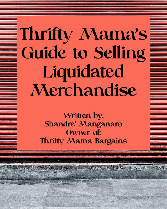 Thrifty Mama’s Guide to Reselling Liquidated Merchandise DIGITAL DOWNLOAD