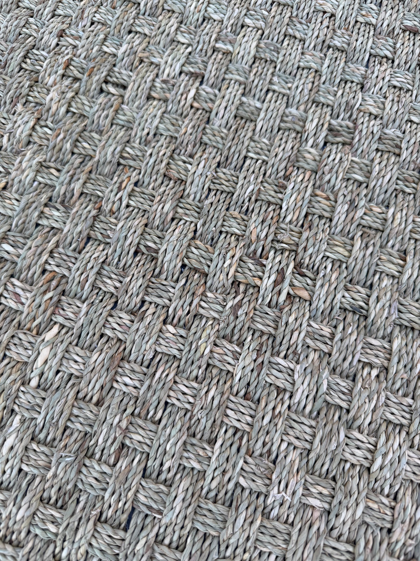 Safaviah 5’x8’ Jute Area Rug