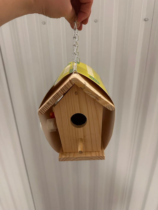 DIY Paint Your Own Birdhouse Kit